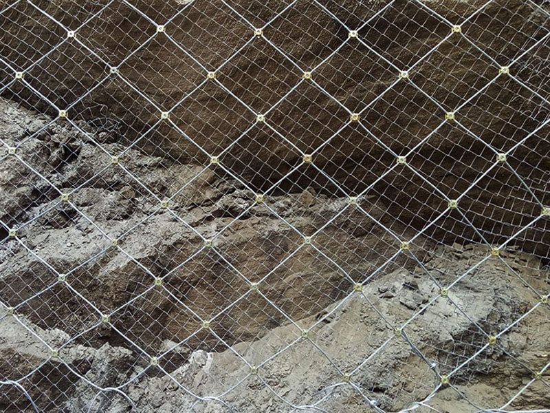 SNS���Է�����