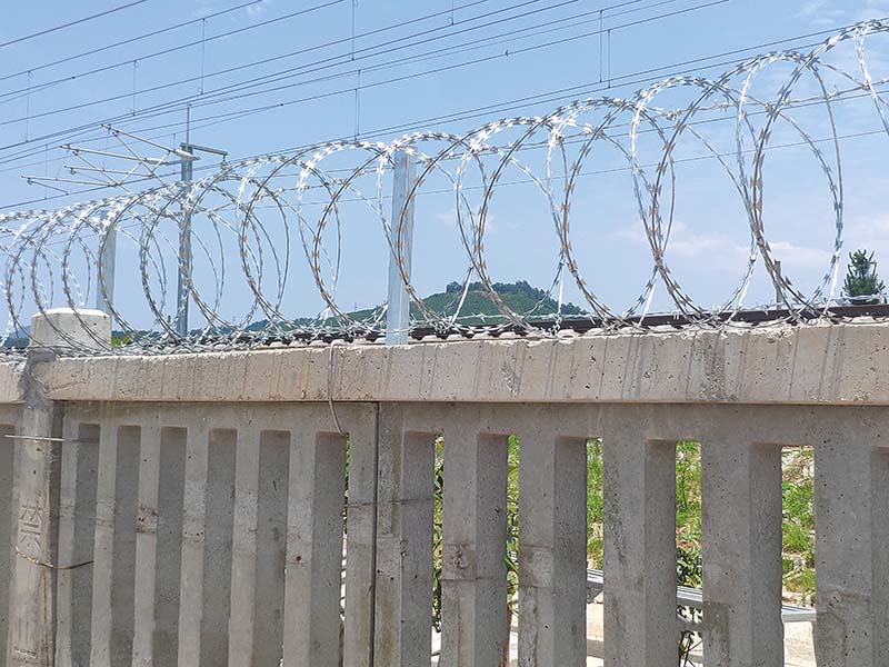 ��˿����