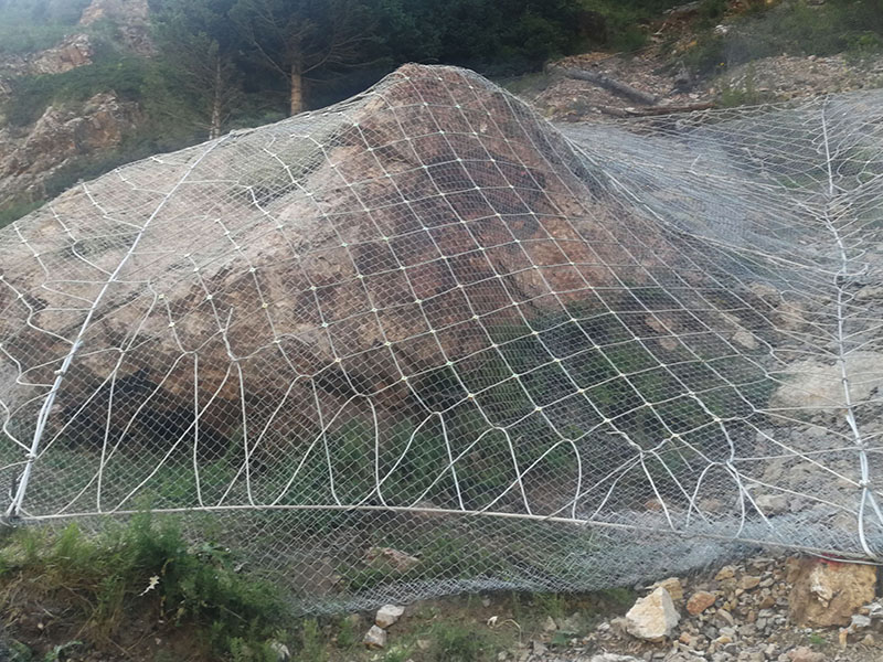 SNS����������