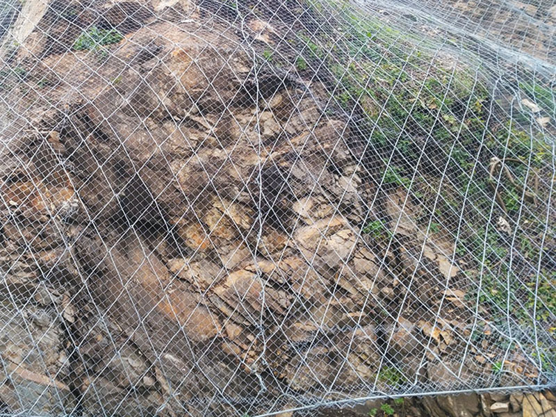 SPIDER��ǿ��