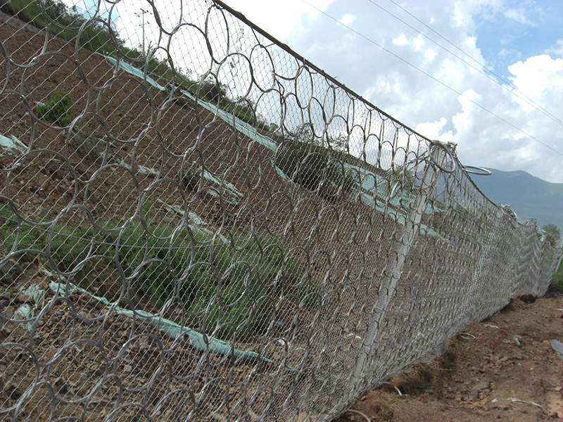 RXI-075����������