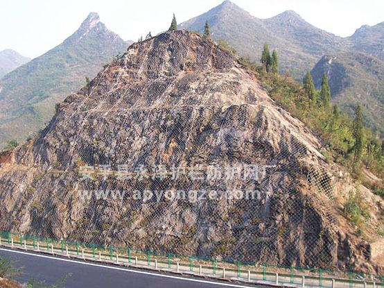 ����213�ߴ���·�ɹ��ҳ�SNS����