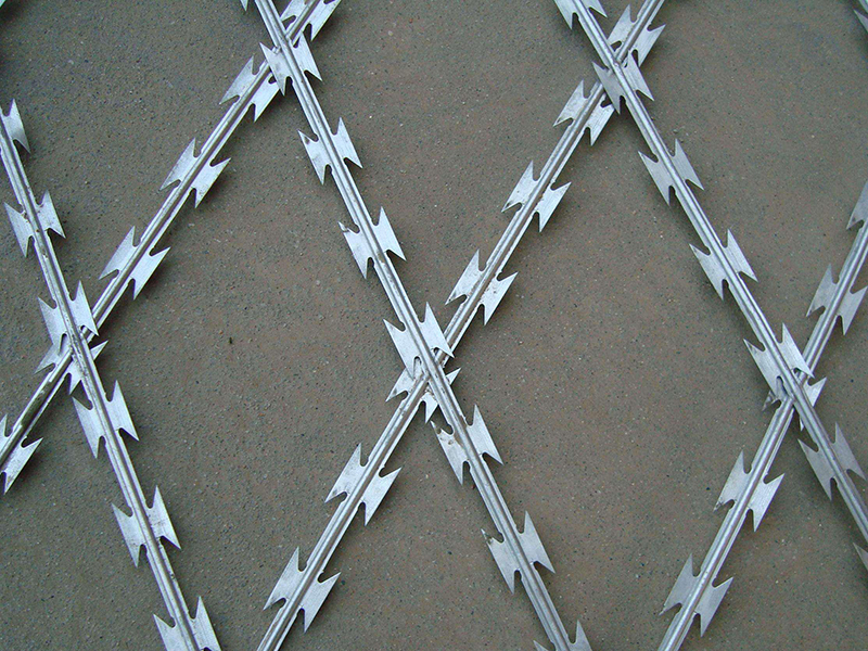 ��Ƭ����